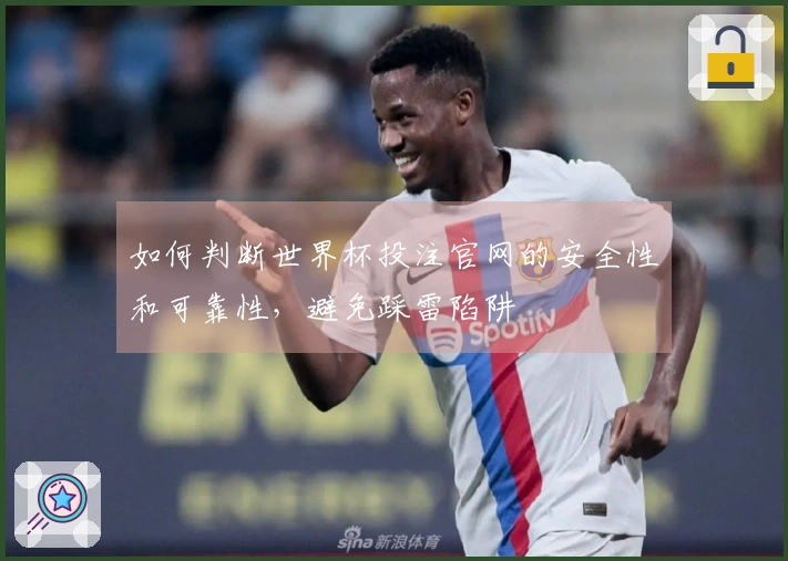 如何判断世界杯投注官网的安全性和可靠性，避免踩雷陷阱