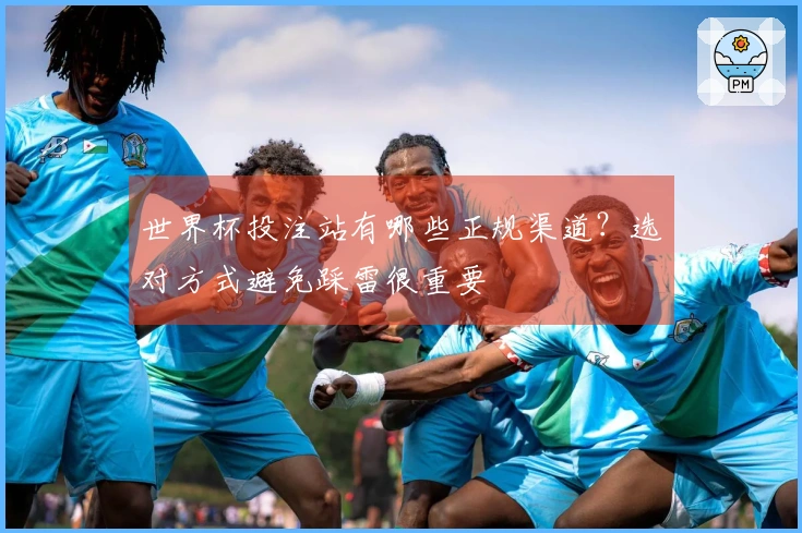 世界杯投注站有哪些正规渠道？选对方式避免踩雷很重要