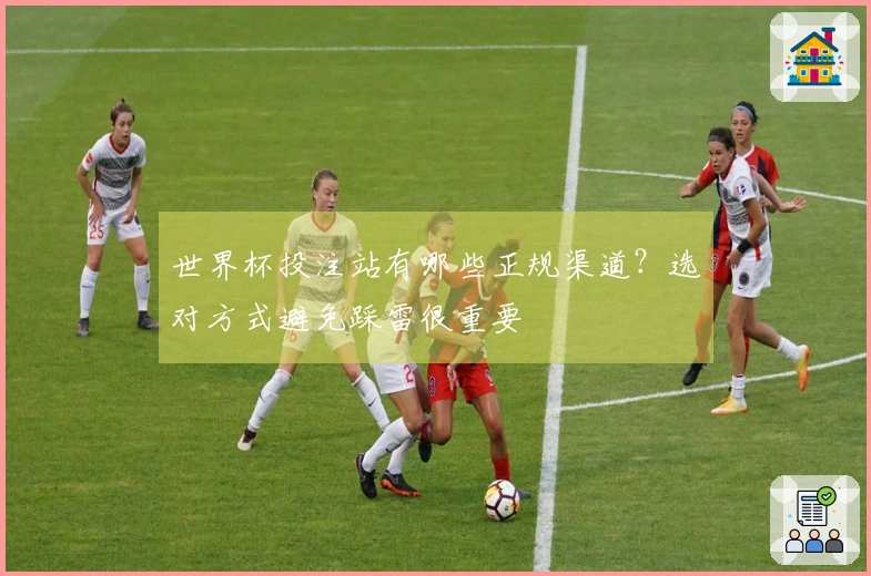 世界杯投注站有哪些正规渠道？选对方式避免踩雷很重要